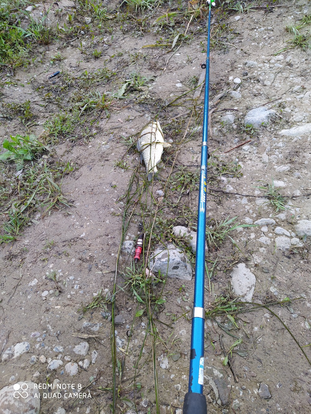 海竿串钩正确钓法视频,海竿串钩野钓最佳方法