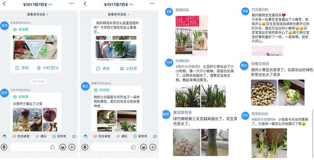 小学居家学习线上教学实施方案,招远实验小学网络教学