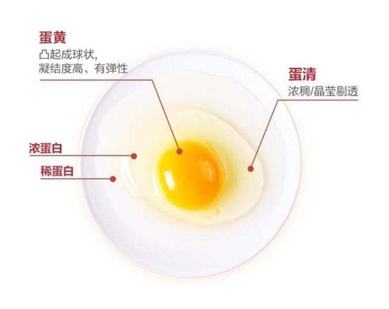 济宁局长,济宁直播带货员