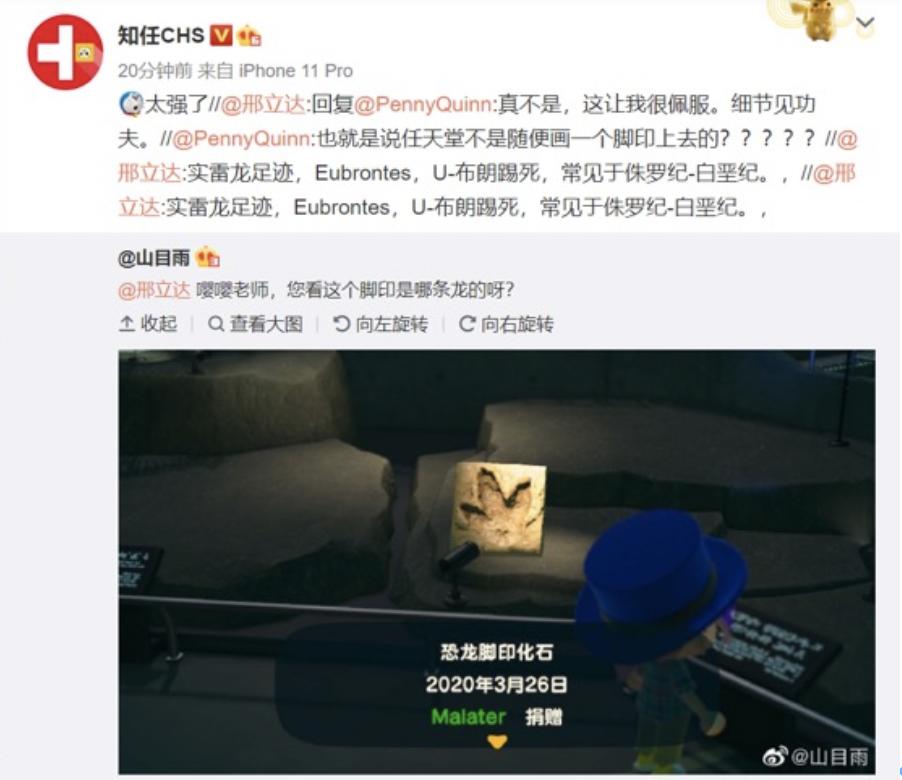 动物森友会玩些什么,动物森友会能2人用一个switch玩么