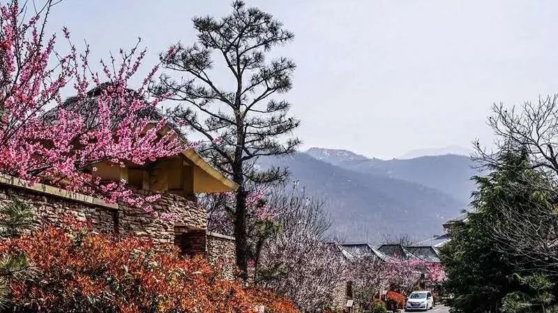 五一去哪里玩国家a级景区,五一热门景区和冷门景区