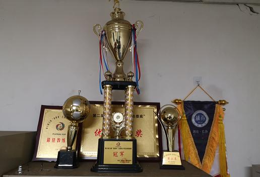 长沙雨花区雅礼中学,雅礼雨花学校