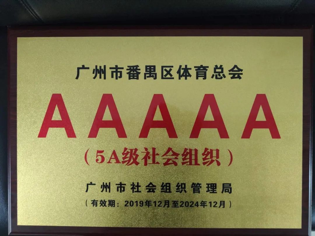 番禺区体育社会组织,体育社会组织