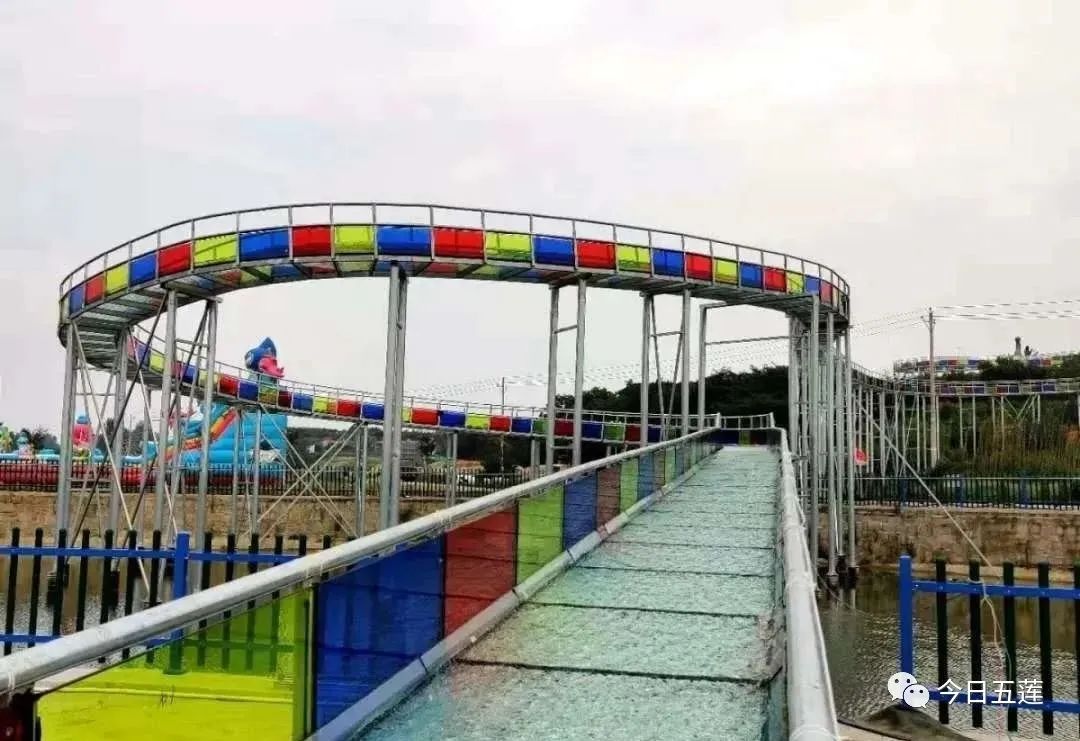 樱桃熟了五一好去处,采摘樱桃好去处五莲