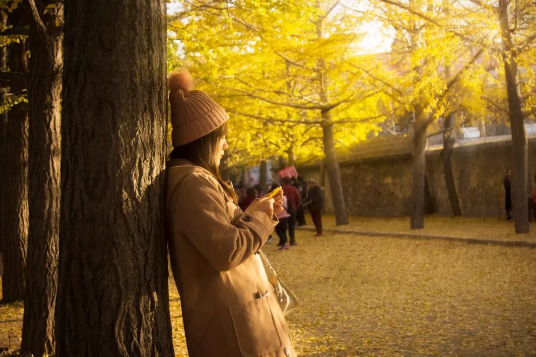美过三亚！比厦门浪漫！中国这座海滨老城，去一次相当于环游世界