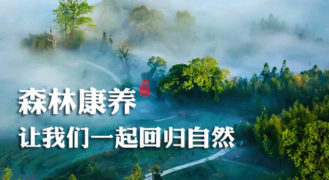 满意在三明宣传片,满意在三明柯丽婷完整视频