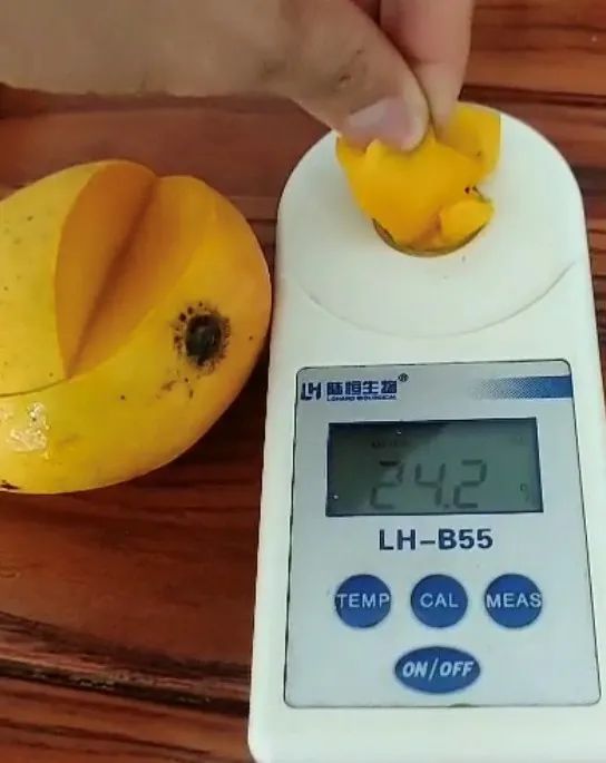 小台农贵妃芒哪个口感好,小台芒香甜滑嫩甜而不腻