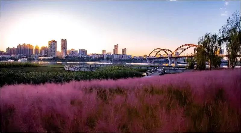 南充纳凉避暑玩水好去处,南充山里天然玩水凉快的地方