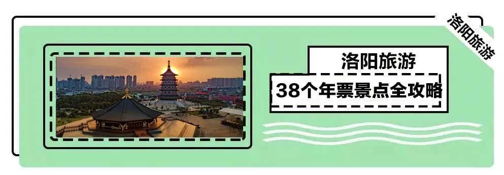 5月20日开抢！财政补助买年票具体方式…