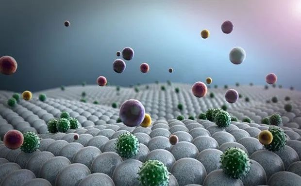 「Nature」肥胖与肠道菌群紊乱有关，他汀类药物有望治疗肠道菌群紊乱