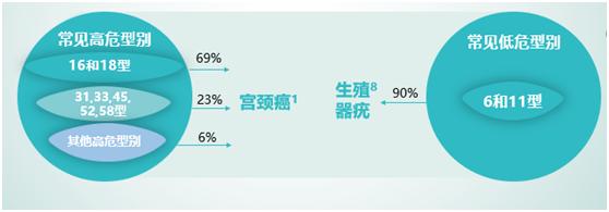 关于HPV疫苗，你想知道的都在这里