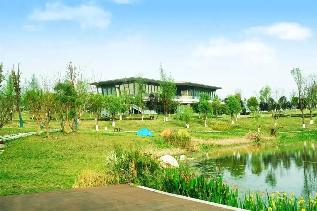 新津这边晚上有没有好耍的地方,新津有哪些人少且免费的旅游景区