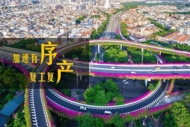 广州舆情最近的情况,广州社会新闻最新事件