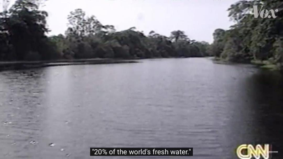 三个月砍掉20个曼哈顿,一年砍掉一个国家,亚马逊已经到了最危急的时候