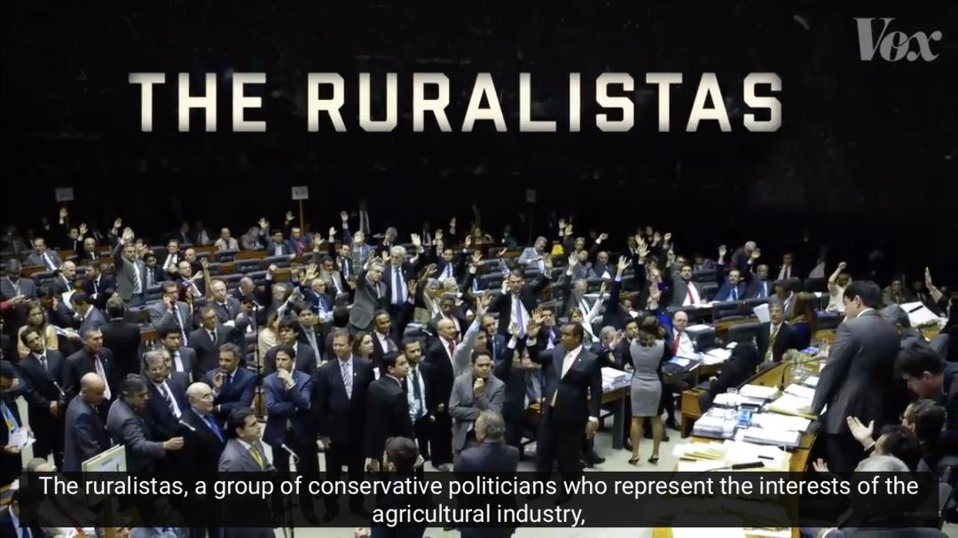 三个月砍掉20个曼哈顿,一年砍掉一个国家,亚马逊已经到了最危急的时候