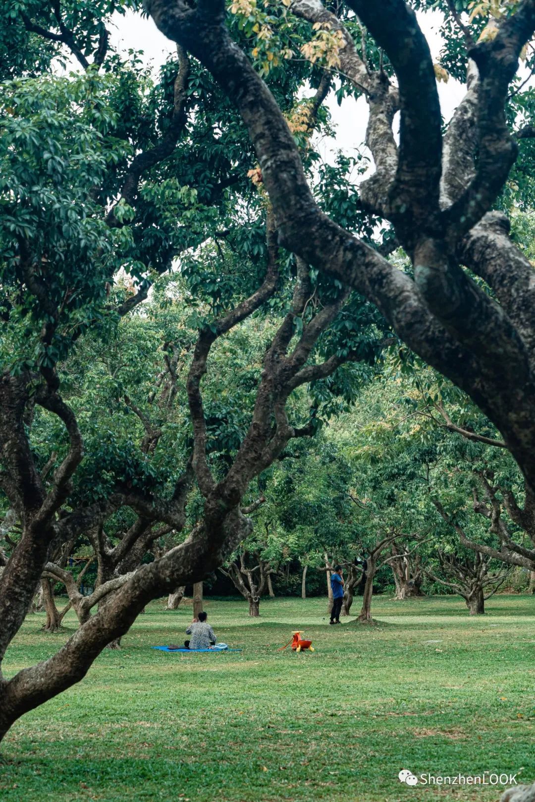 严浩翔说look这是tnt什么舞台,look这是什么牌子的包包
