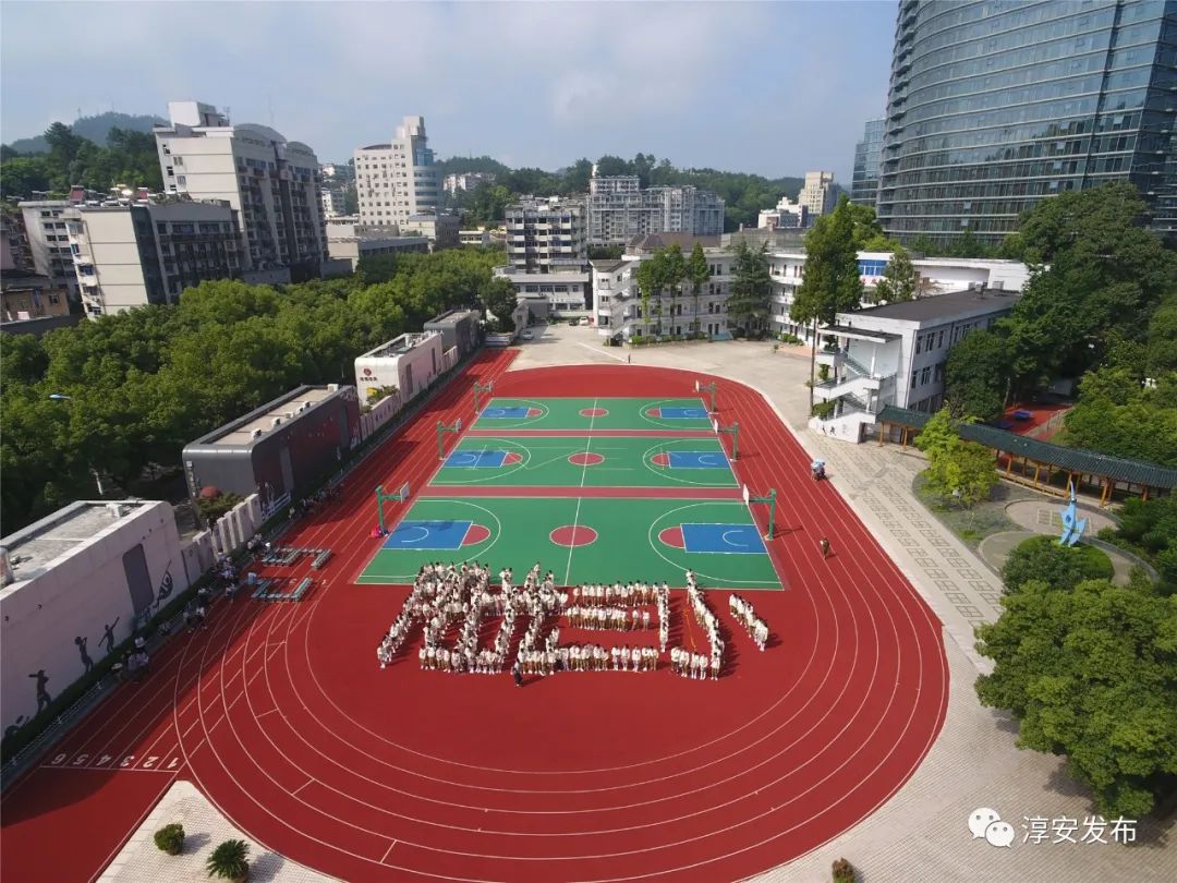 关注学区划分的政策,关注学区划分政策