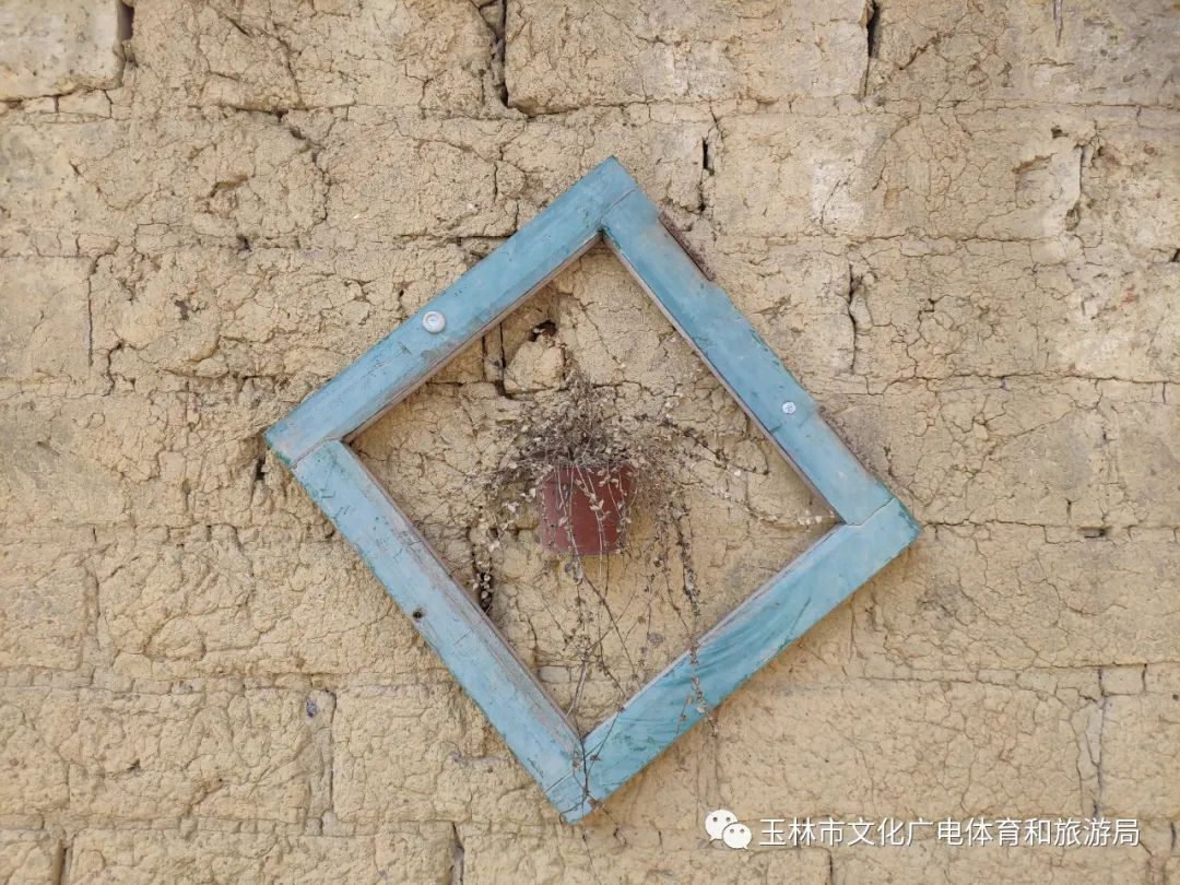 分享|“云游”林间小屋、石砌村道、稻田果树！乡村康养的好去处