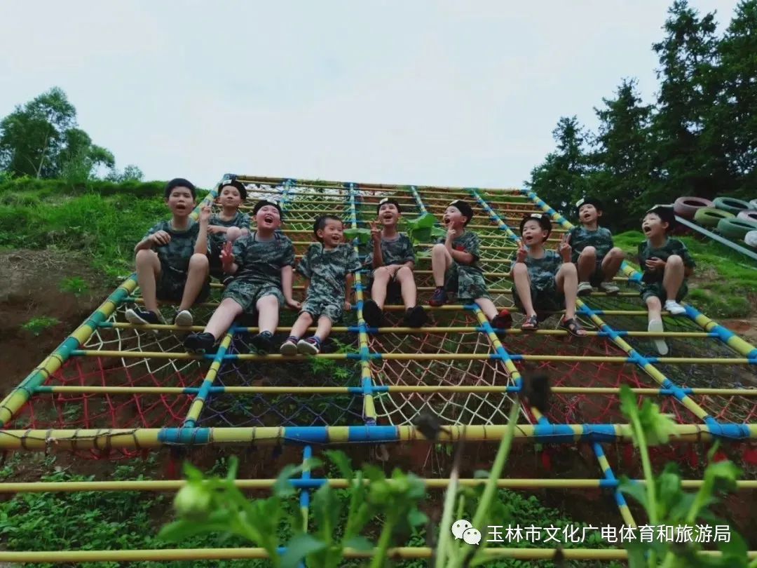 分享|“云游”林间小屋、石砌村道、稻田果树！乡村康养的好去处