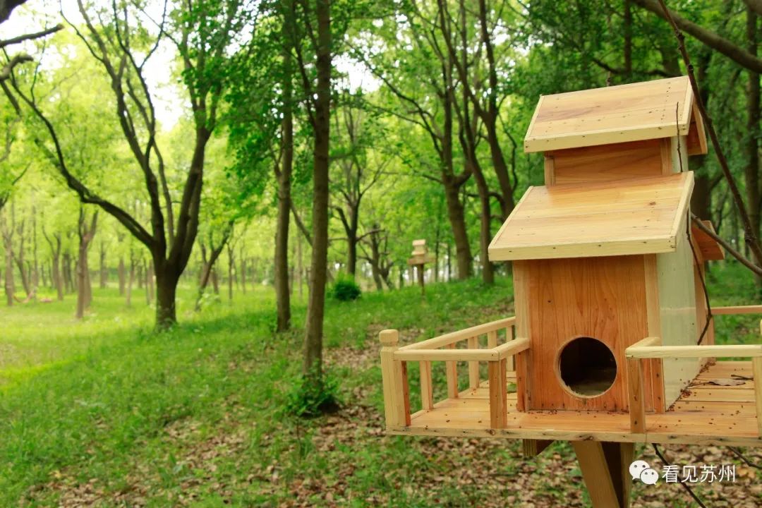 苏州森林里野奢树屋,苏州泡温泉度假的地方推荐