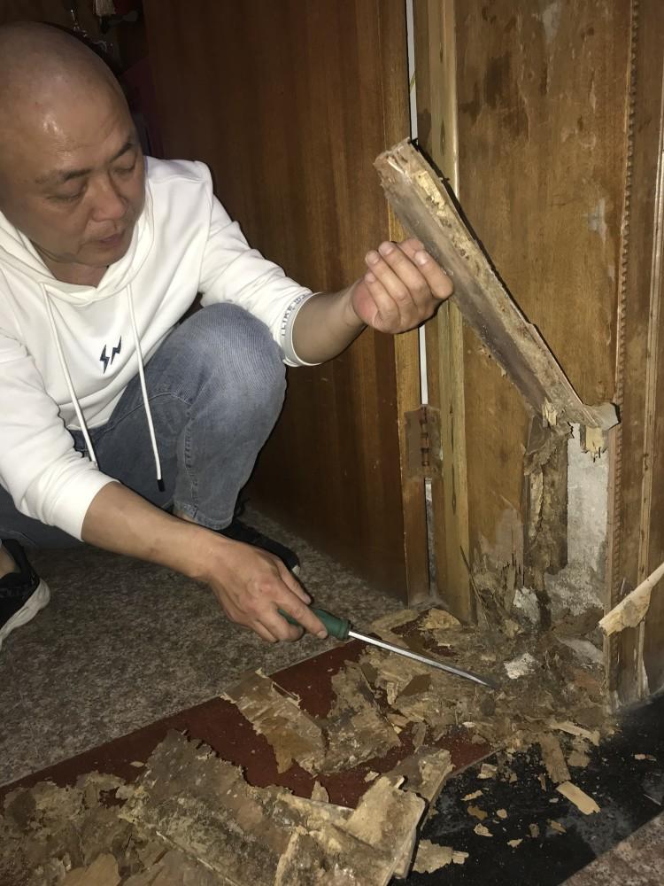 最近你家发现白蚁了吗？别慌，打3925716免费治