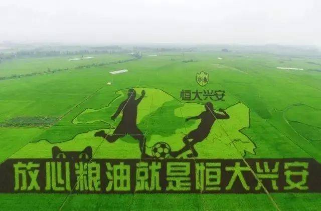 向往的生活带你体验乡间的路,向往的生活田园生活