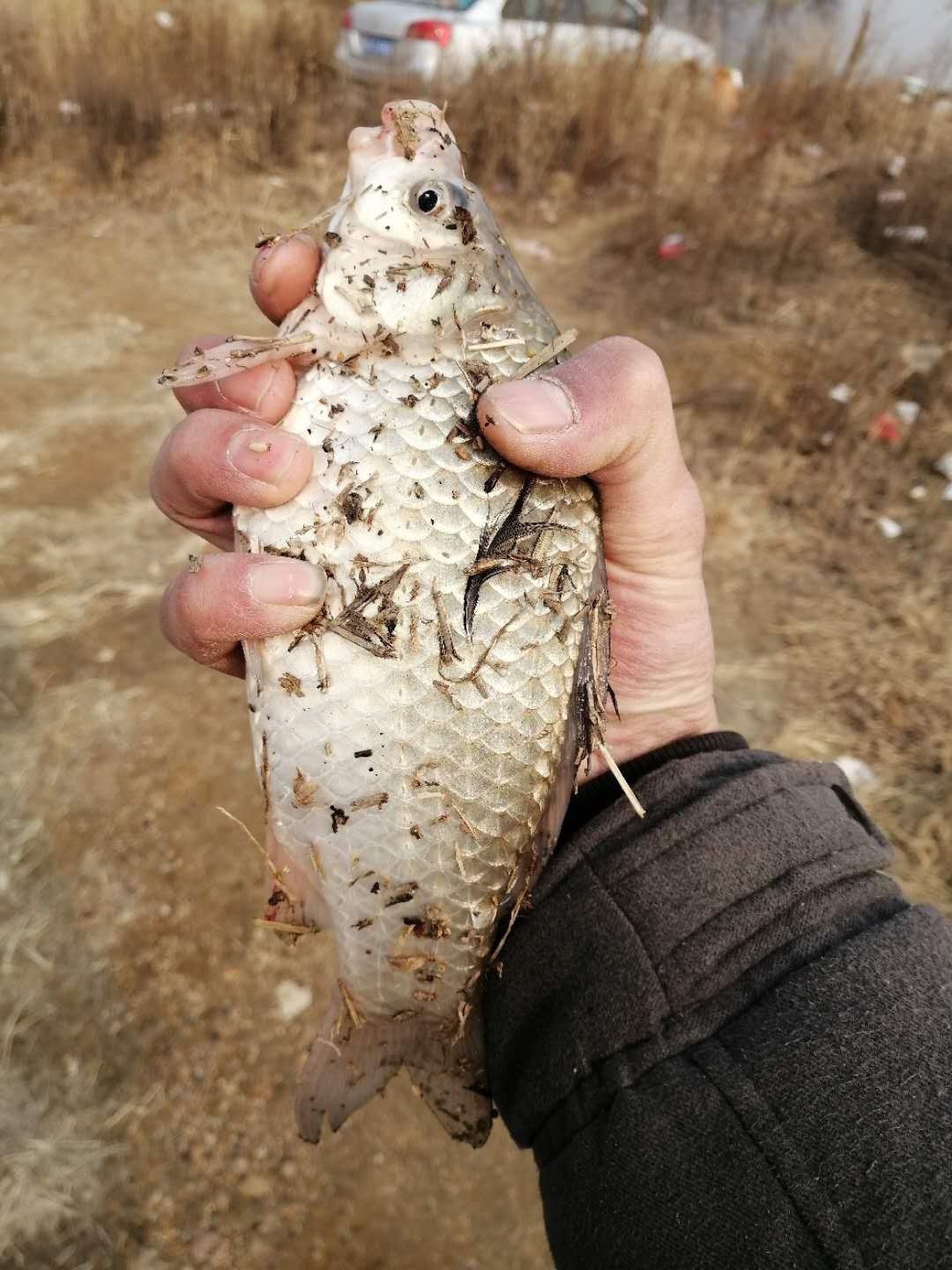 普通自制串钩最简单方法,如何自制马口串钩