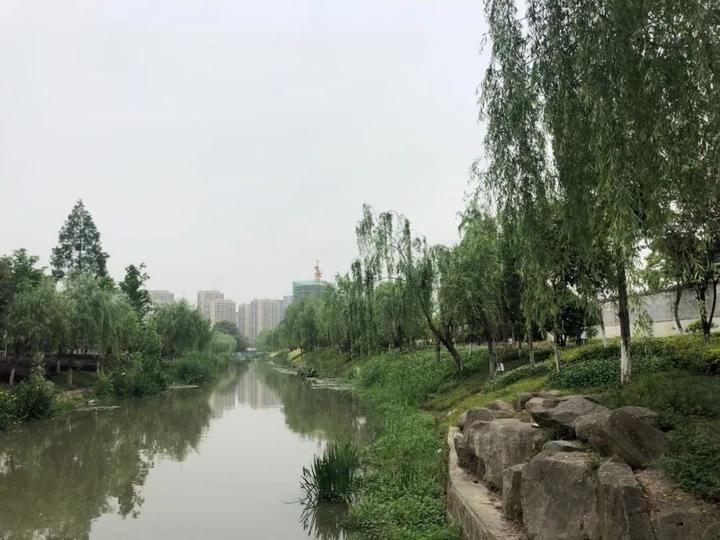 所见即所得,很快就能住!探营杭州四大现房,值得买吗?