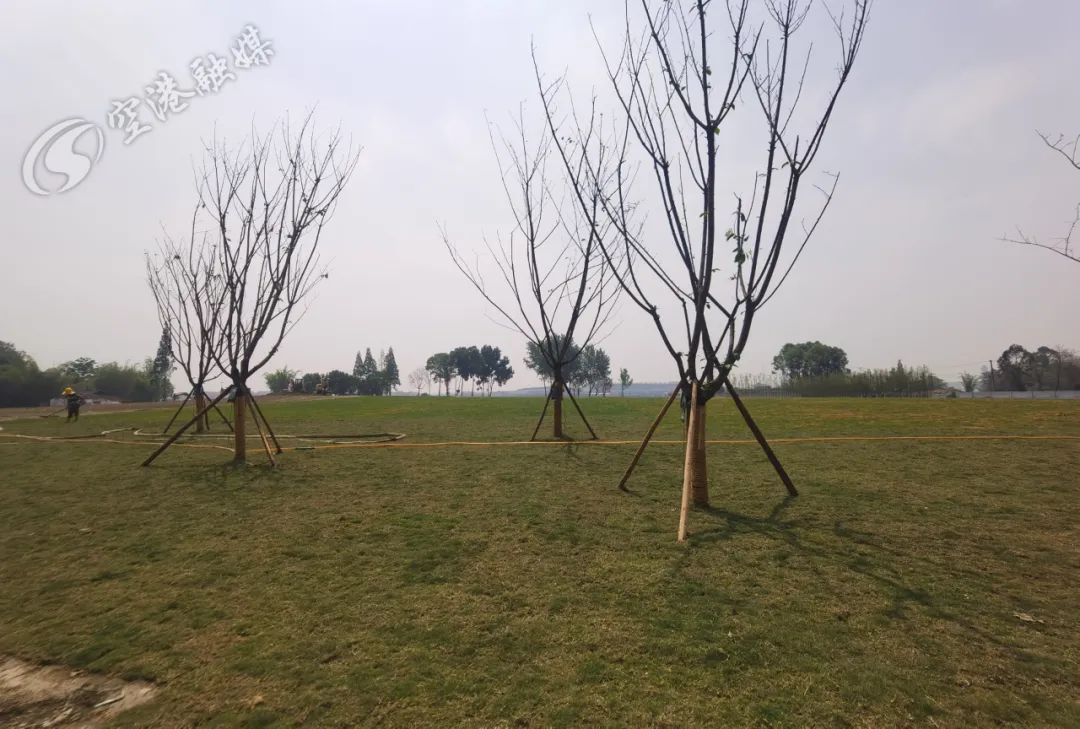 空港体育公园最新消息,空港运动公园开放时间