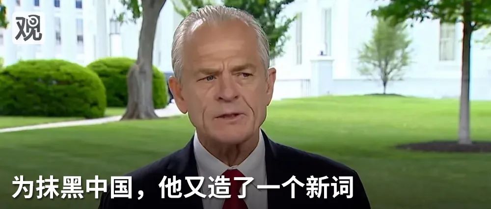 华春莹谈美式民主,华春莹说民主不应是可口可乐