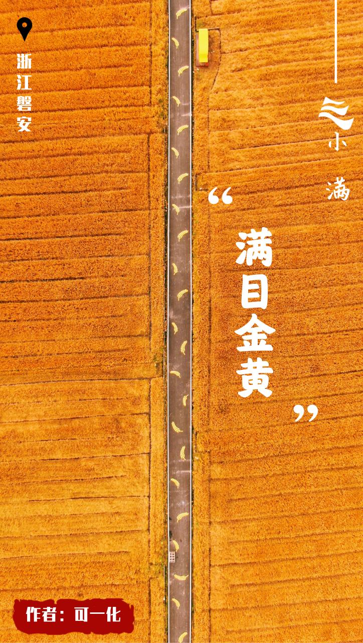 创意小满海报,小满海报设计