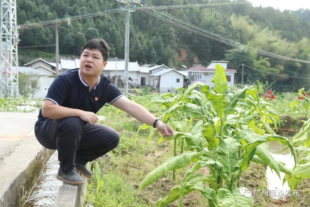 50%50%为什么等于0.75,100%黑巧克力怎么做好吃