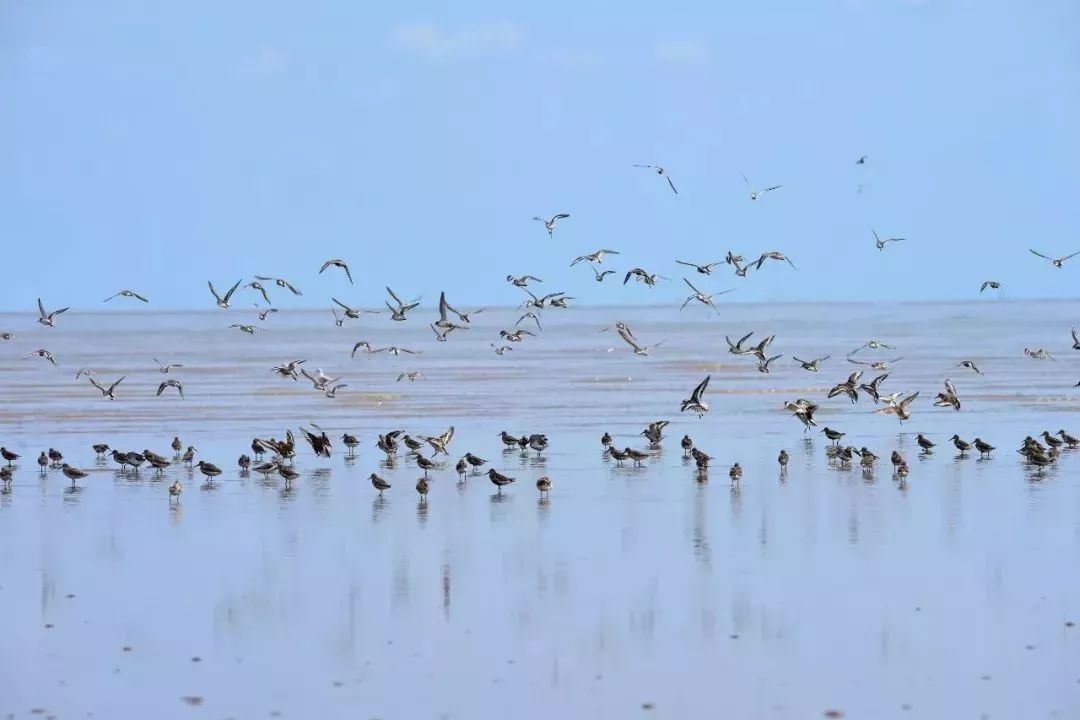 盐城最厉害的勺子,盐城铜勺子
