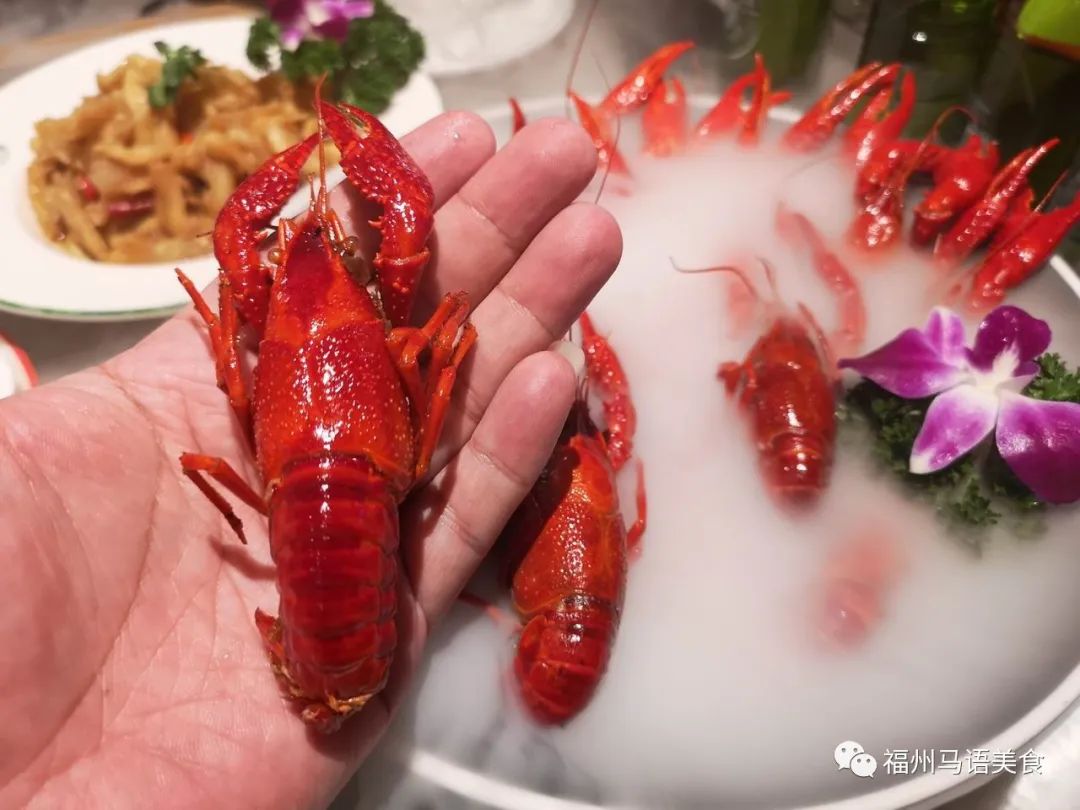 回魏大排档什么时候开的,回魏大排档要投资多少