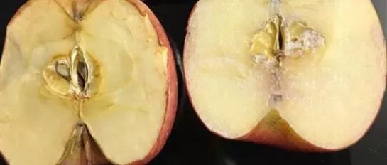 泰国人用什么防晒,泰国人参防晒