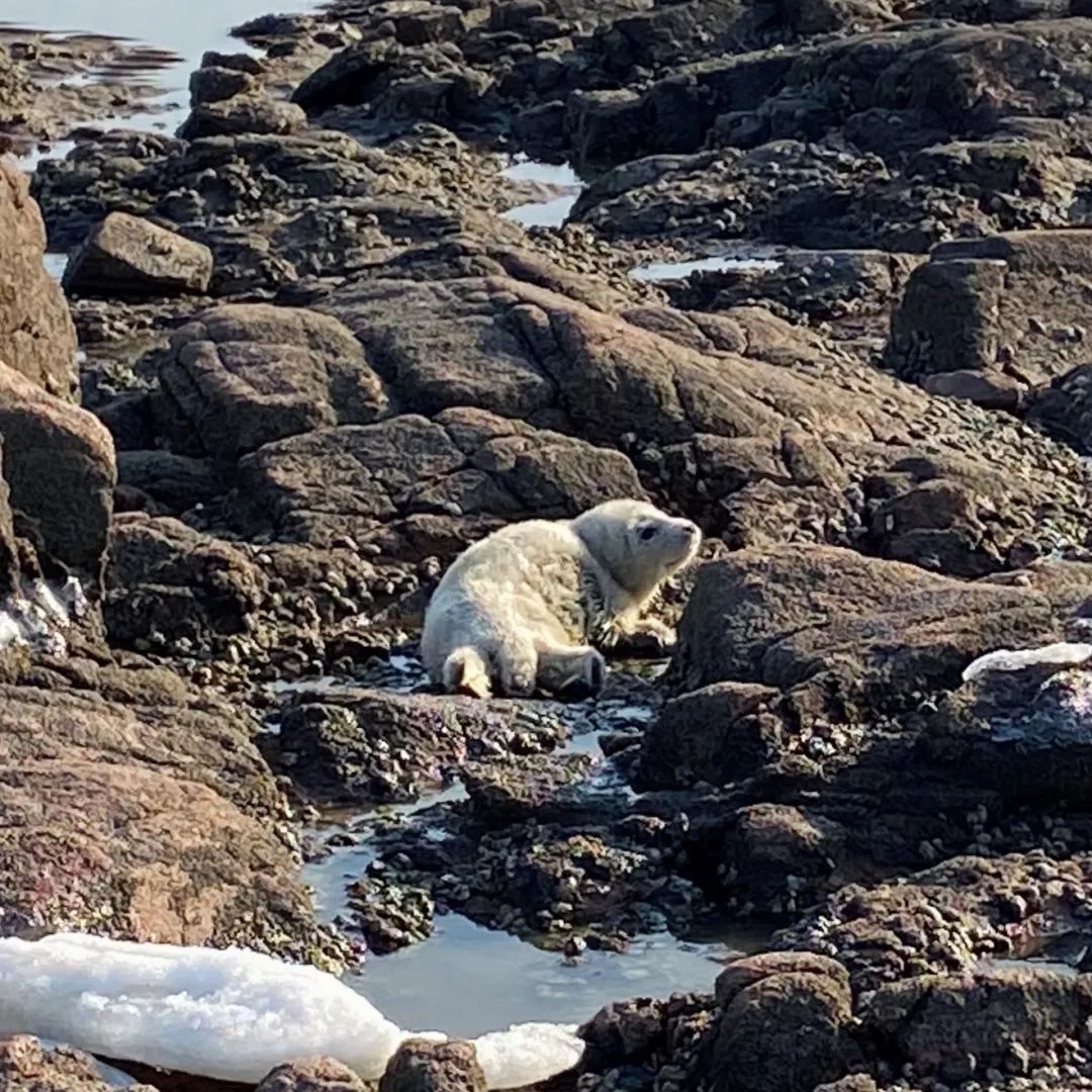 这样的鸟兽胖友圈,你见过吗?