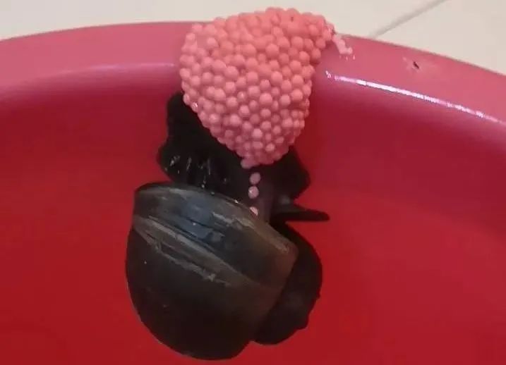 夏季防蚊虫叮咬常识温馨提示,夏天毒虫叮咬防虫手册