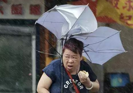 口袋防晒伞防紫外线推荐,日本防晒黑胶便携口袋伞100多元