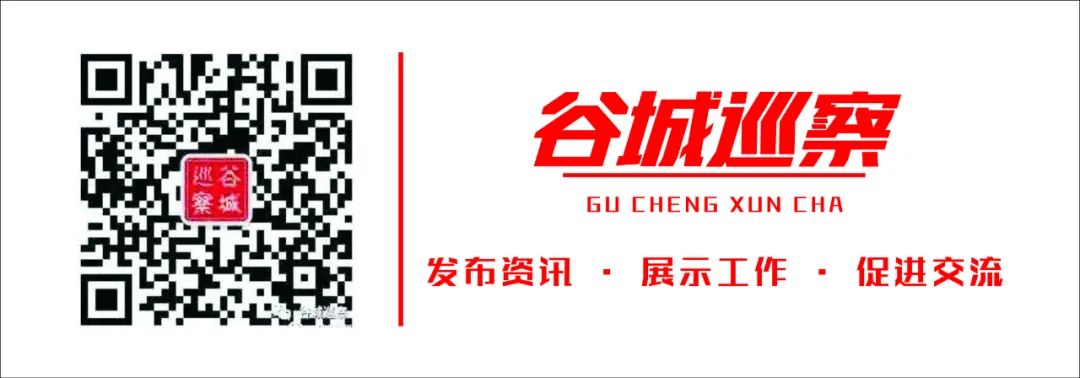 巡视巡察微党课,巡察机构党支部书记讲党课