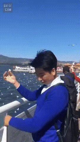 丽江市投资促进局,丽江市古城区投资促进局