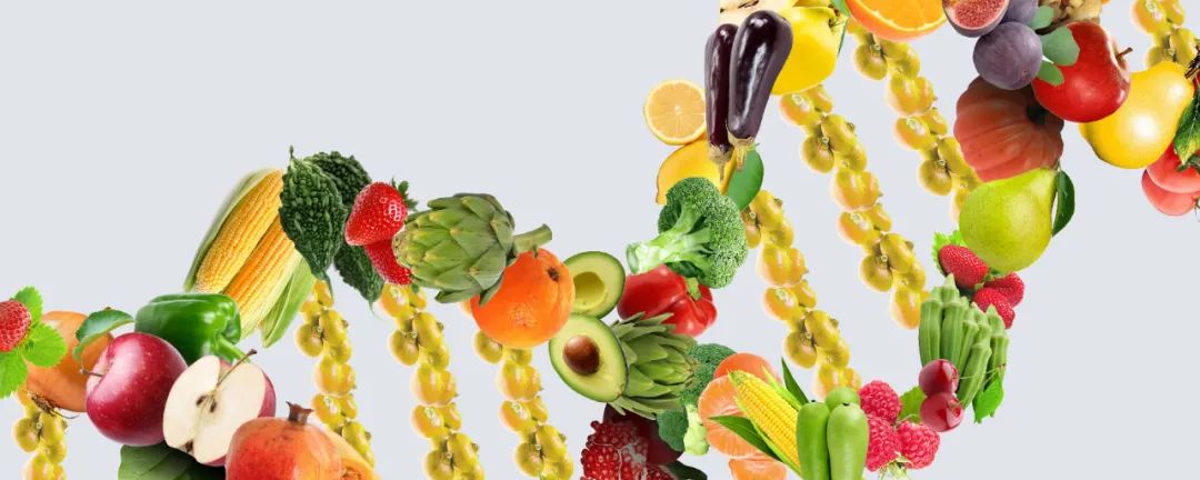 个体化营养,个体化营养管理