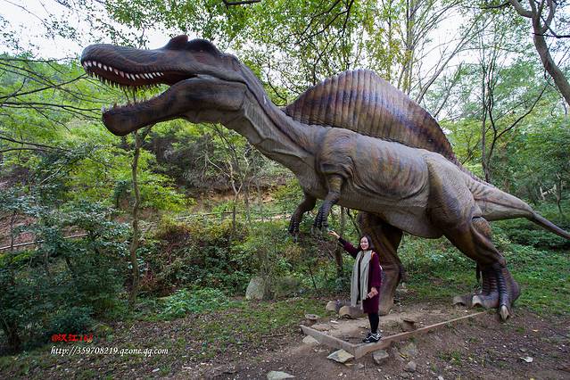 黄陂木兰景区哪个适合孩子玩,武汉黄陂木兰旅游攻略