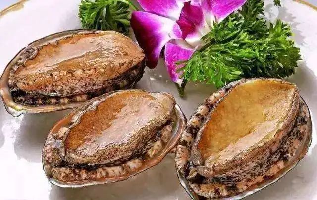 吃海鲜的都应知道这些部位不能吃,吃海鲜应注意的10个禁忌