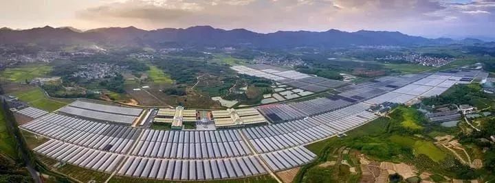 今明两天丽水新闻,丽水新闻今天