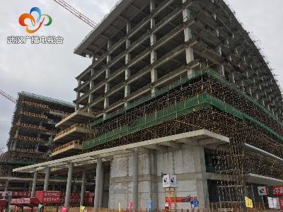 武汉航发智慧封顶仪式,武汉航发新城创新基地位置