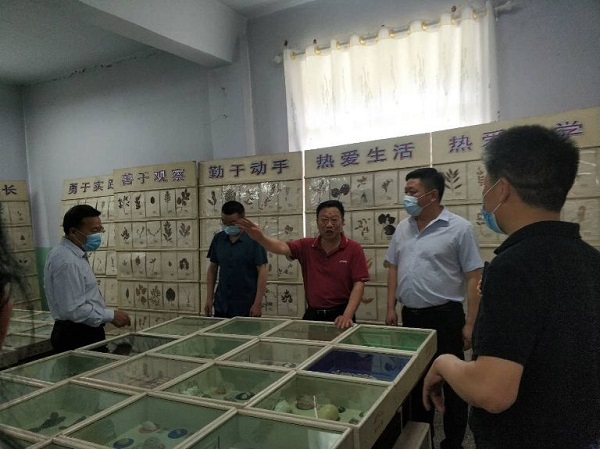 油田二小学校,油田二小最新消息