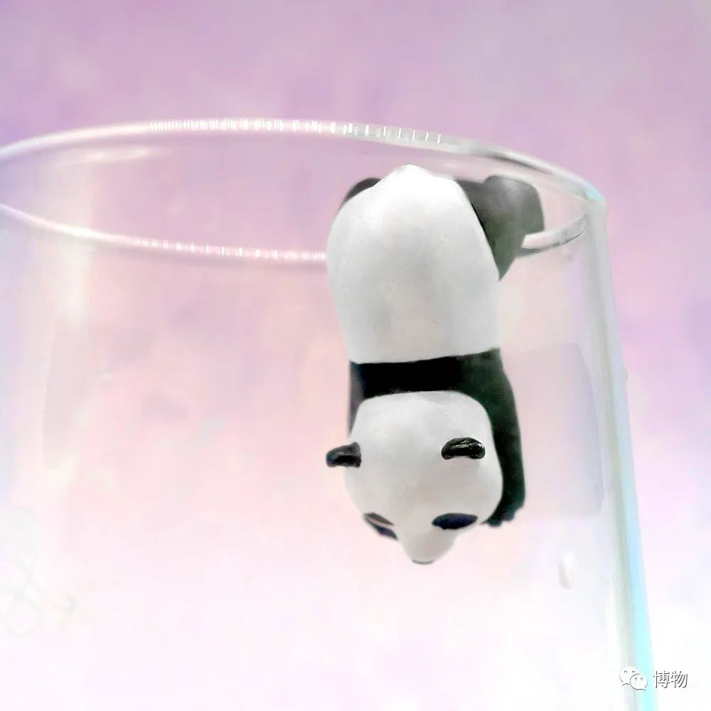 能拍彩色照片的大熊猫,大熊猫为啥不能拥有一张彩色照片