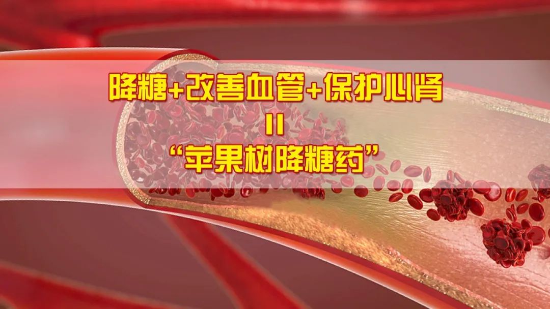 养生堂逆转糖尿病,养生堂糖尿病新疗法