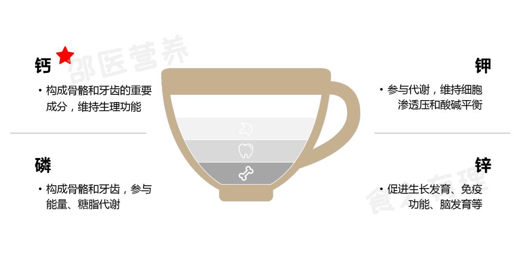 骆驼奶牛奶羊奶到底哪个好,牛奶羊奶骆驼奶哪个营养价值高