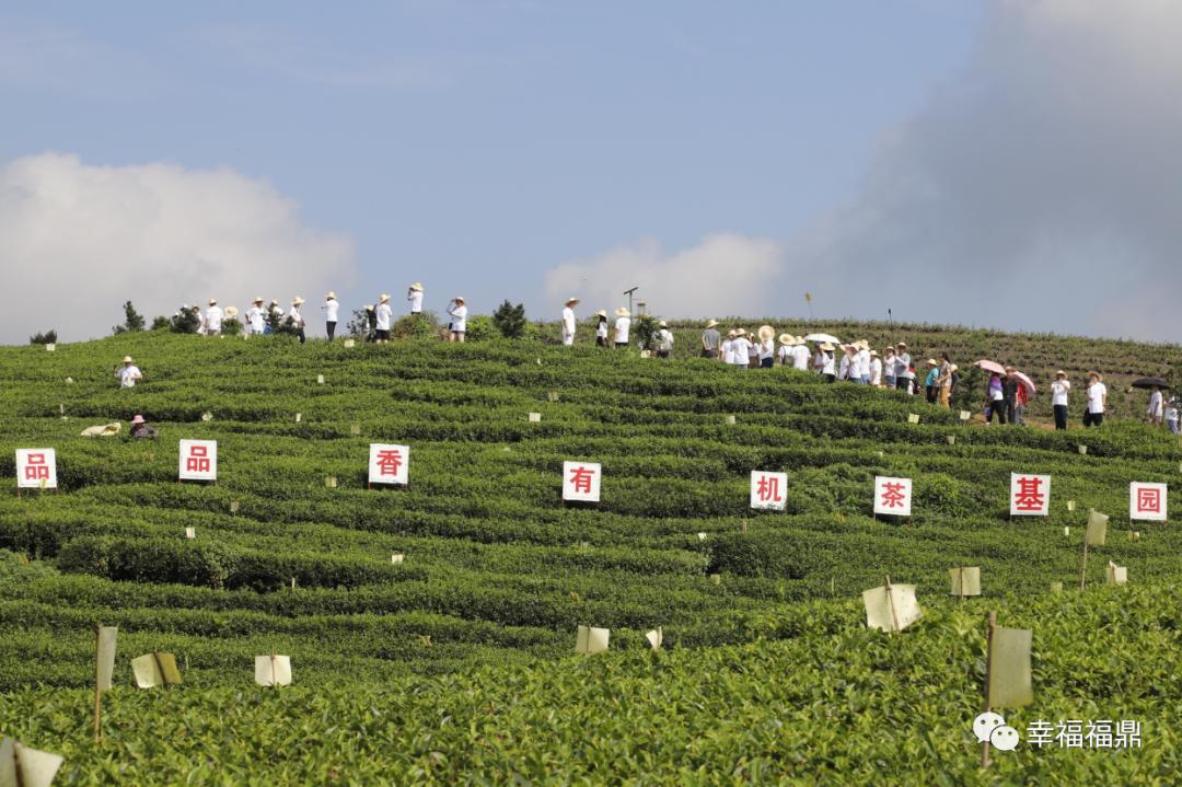 要把城市变美,福鼎市创建生态文明城市